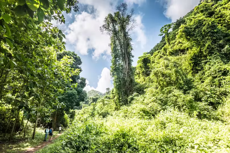 Laos – Wandern im grünen Norden