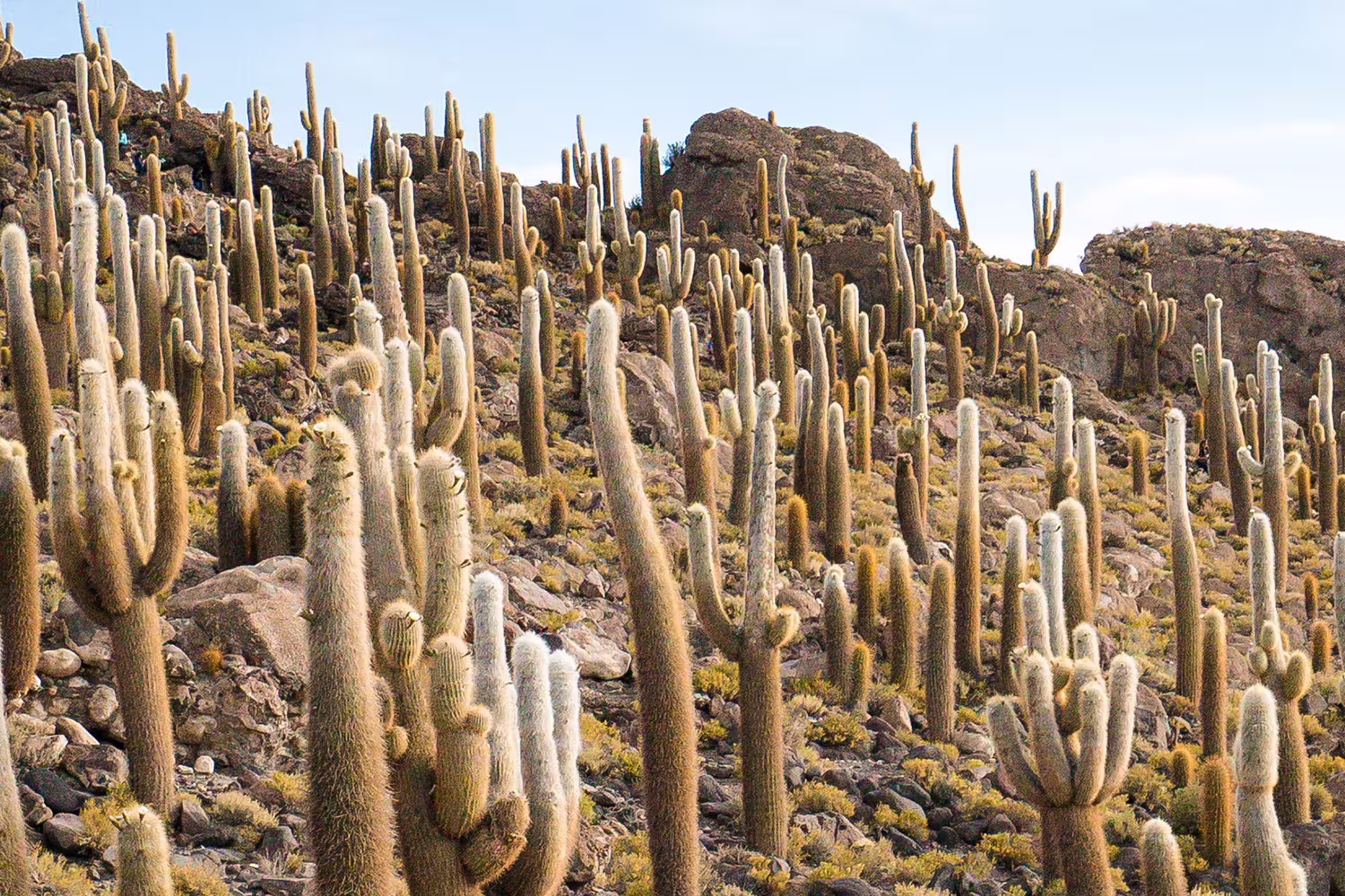 GGBJ_bolivia_salar-de-uyuni_banner
