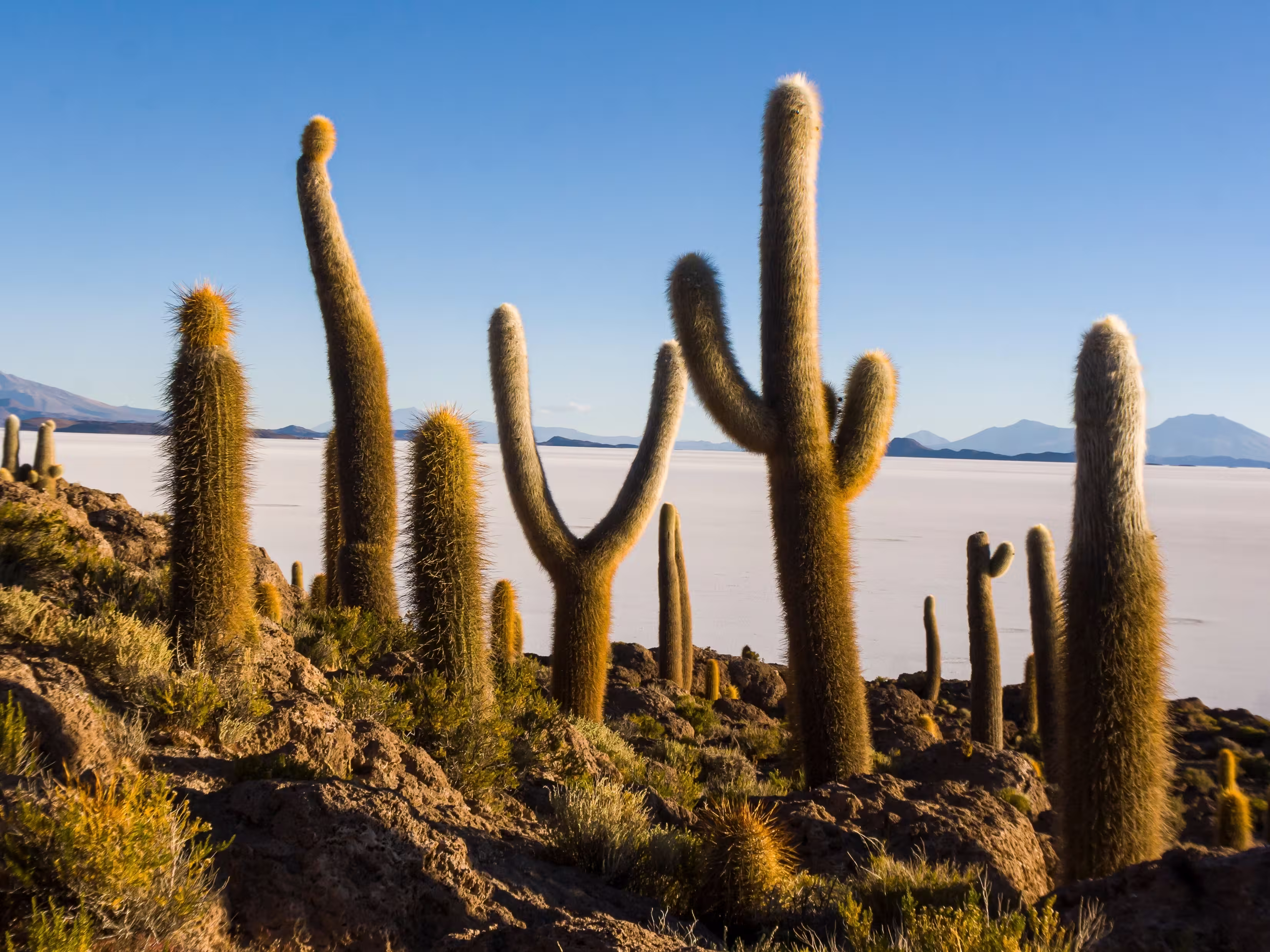 bikking in a  salar de uyuni landscape