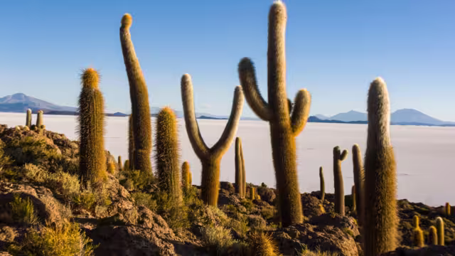 bikking in a  salar de uyuni landscape