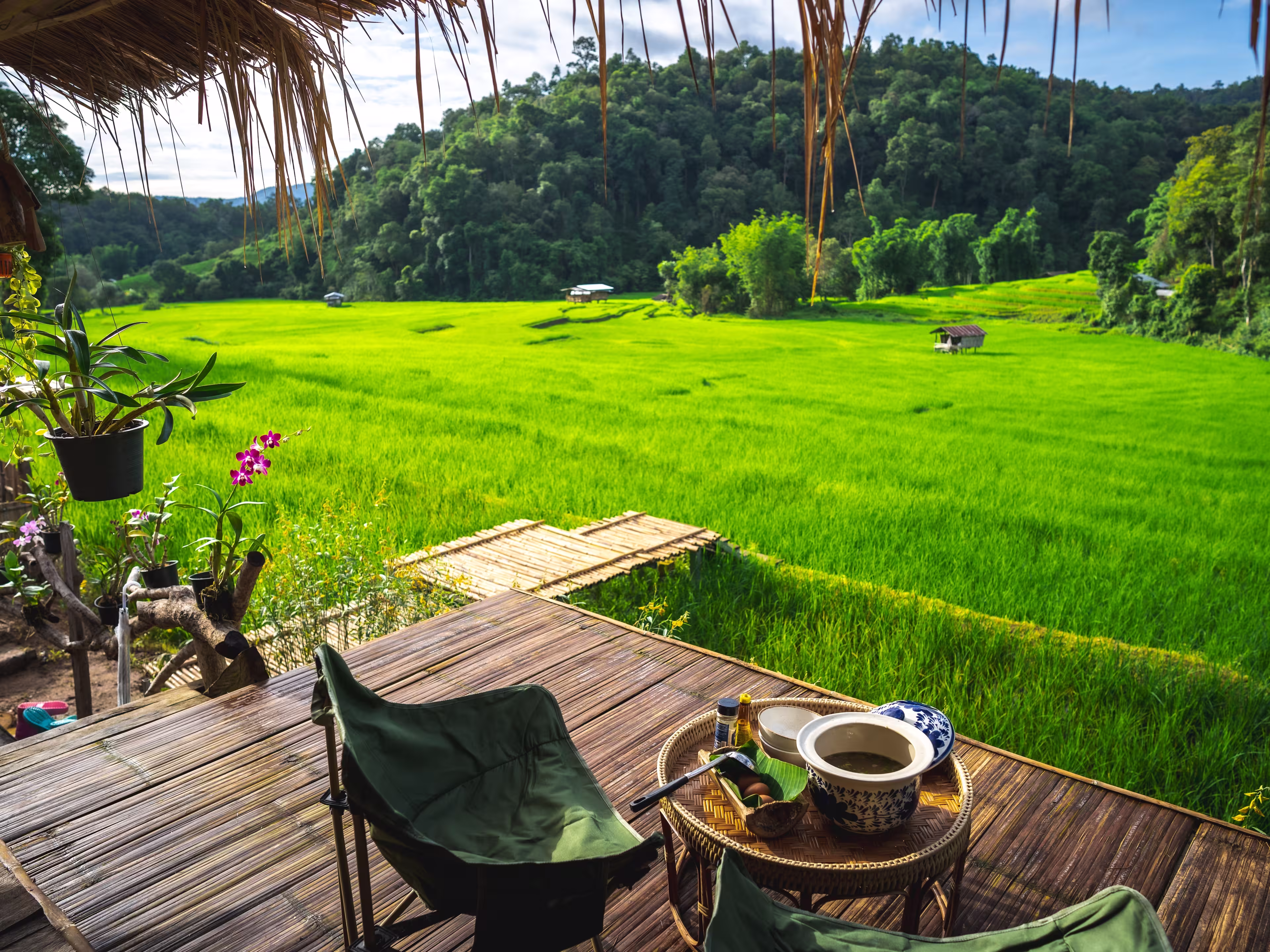 Ban Pang Ma O - Rich Terrace, Chiang Mai, Thailand - 26 August 2024, Beautiful home stay, rice terrace and mountain view at Ban Pang Ma O of Mae Tang, Chiang Mai, Thailand.