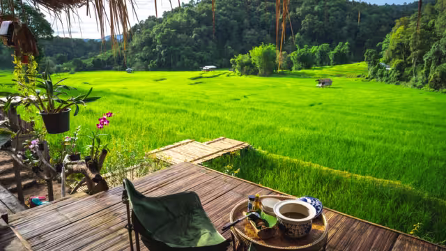 Ban Pang Ma O - Rich Terrace, Chiang Mai, Thailand - 26 August 2024, Beautiful home stay, rice terrace and mountain view at Ban Pang Ma O of Mae Tang, Chiang Mai, Thailand.