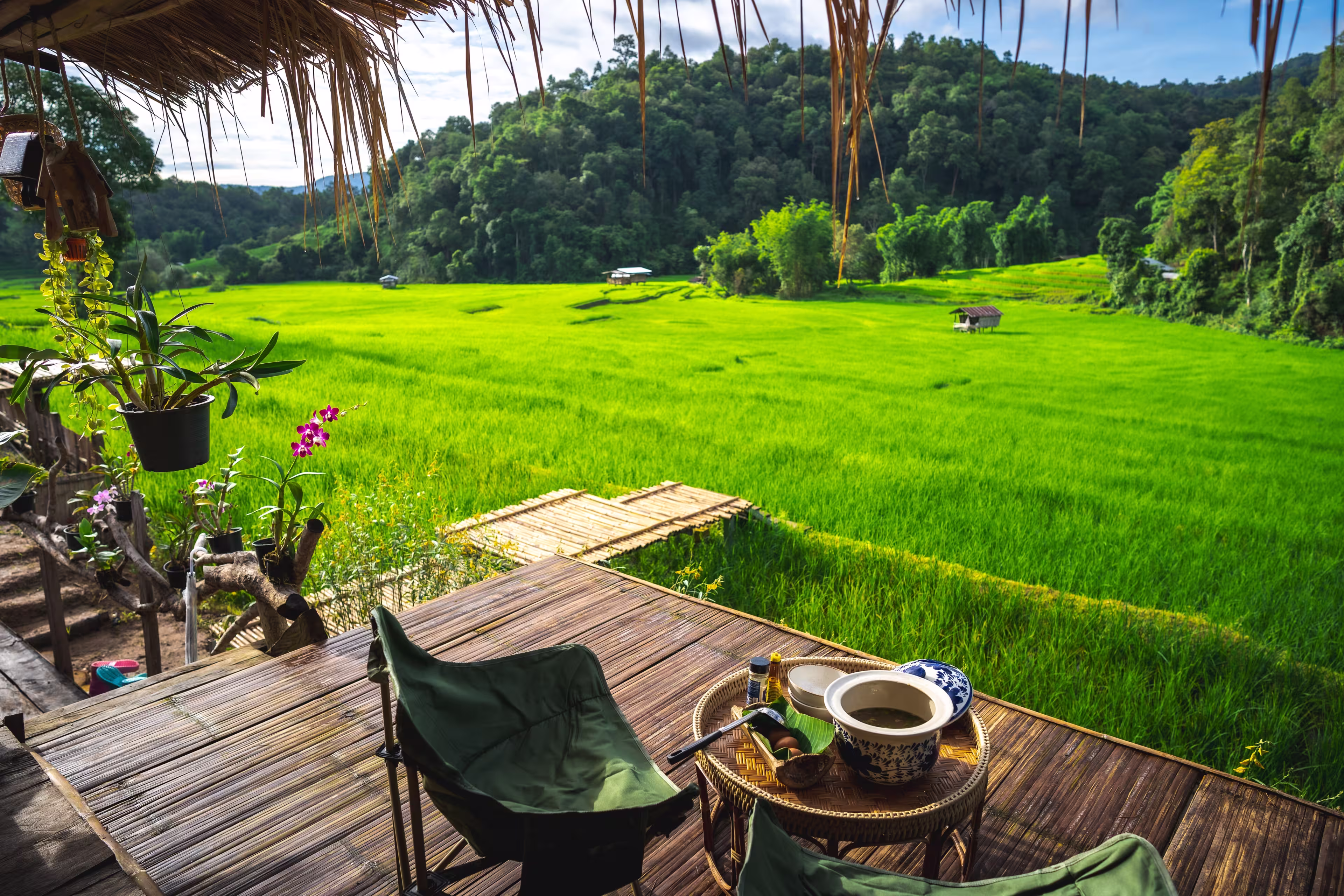 Ban Pang Ma O - Rich Terrace, Chiang Mai, Thailand - 26 August 2024, Beautiful home stay, rice terrace and mountain view at Ban Pang Ma O of Mae Tang, Chiang Mai, Thailand.