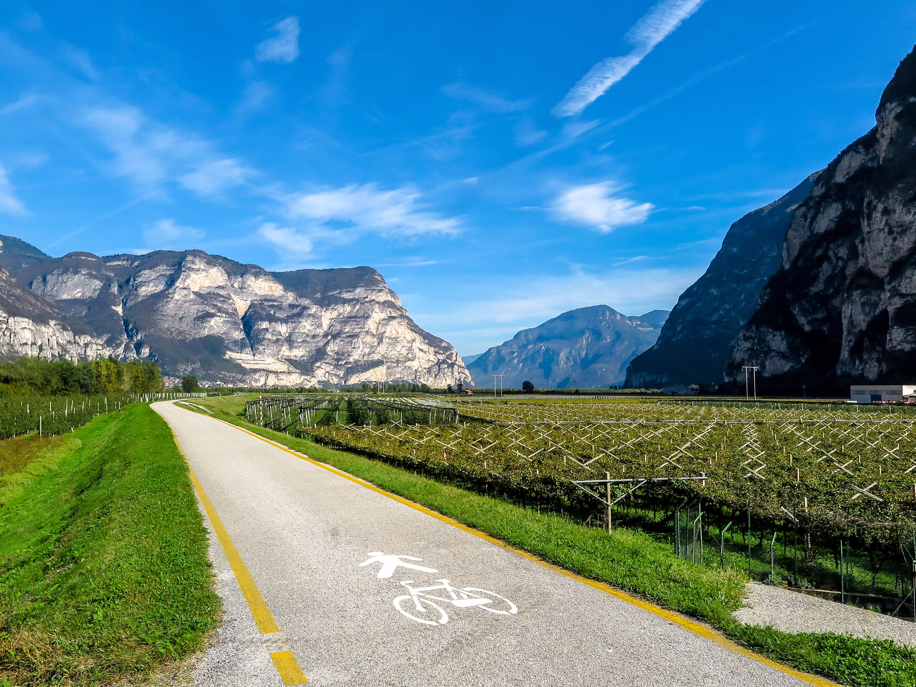 Bicycle path with grape plantation on the side, and rocky mountains in surrounding, Merano, Italy