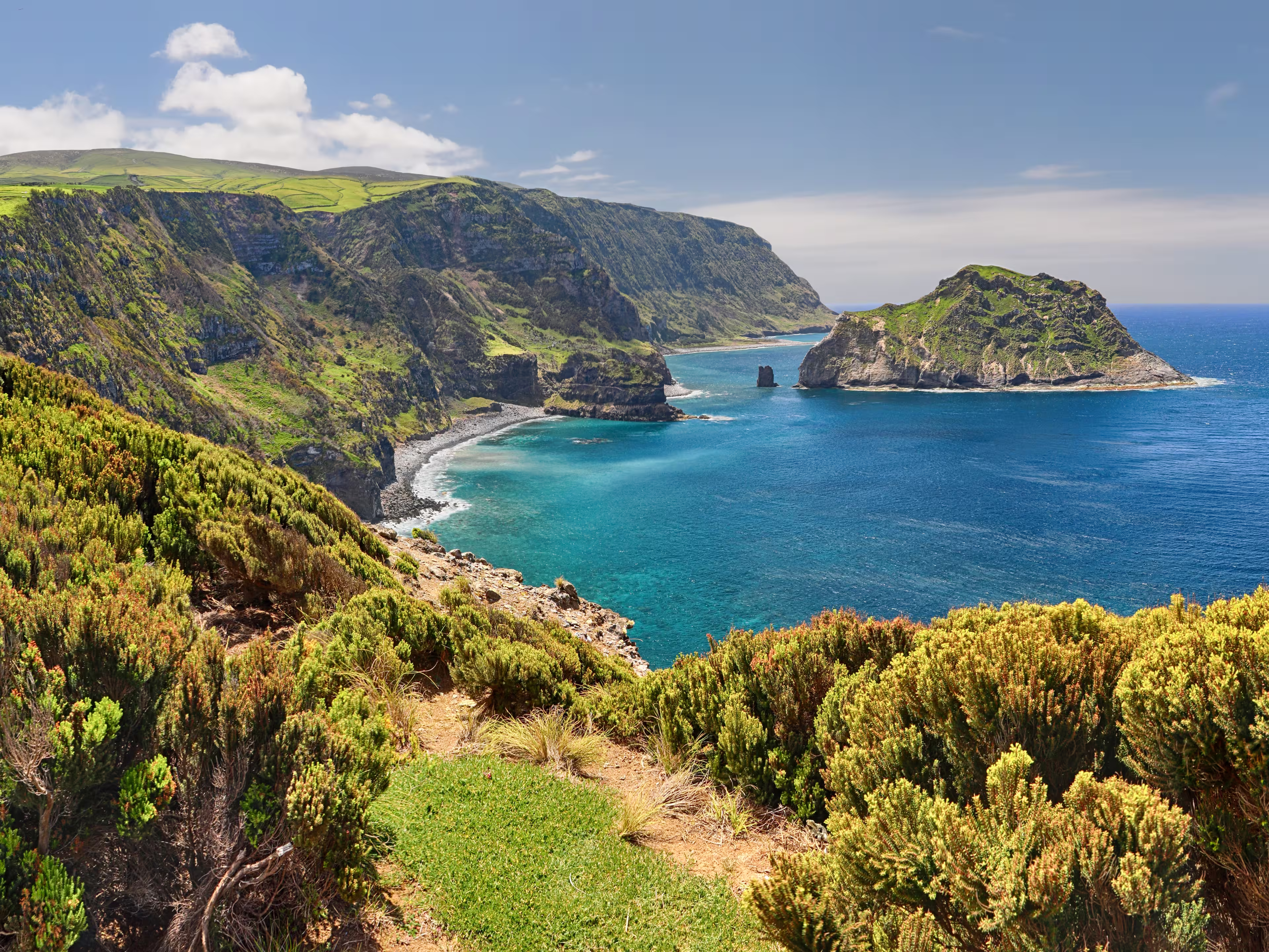 Northern Coast at Flores near Ponta Delgada (Azores islands)