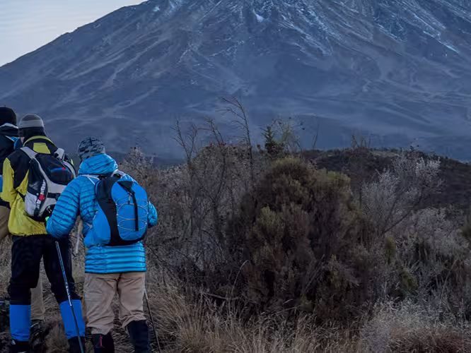 Intrepid Travel Kilimanjaro hiking