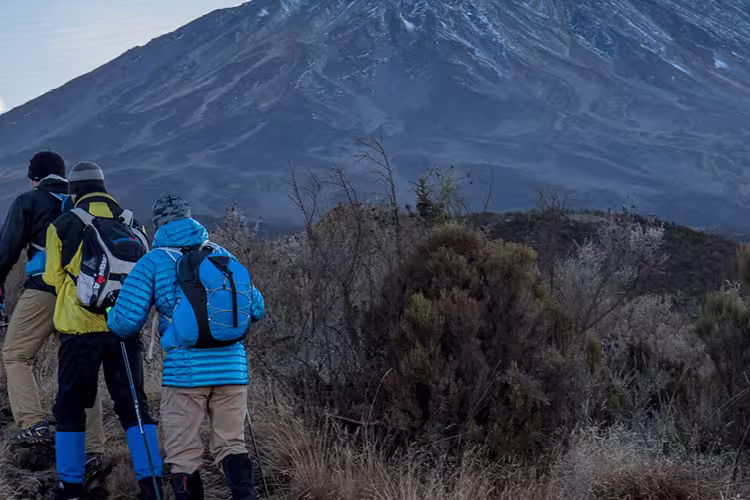 Intrepid Travel Kilimanjaro hiking
