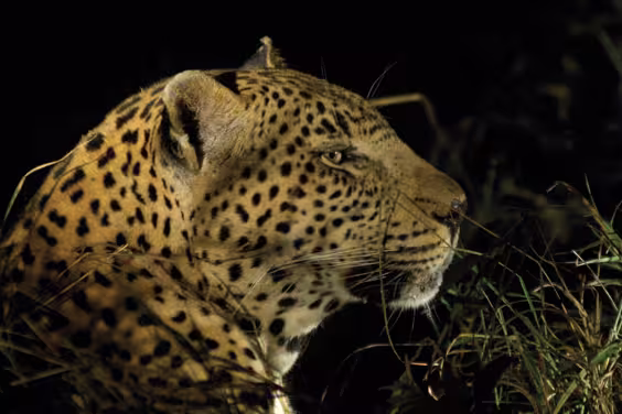 Kruger to Vic Falls - 1