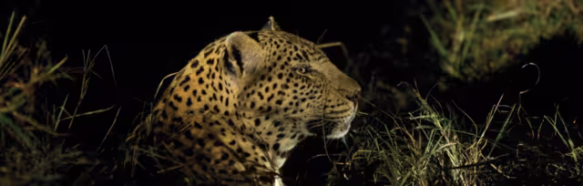 Kruger to Vic Falls - 1