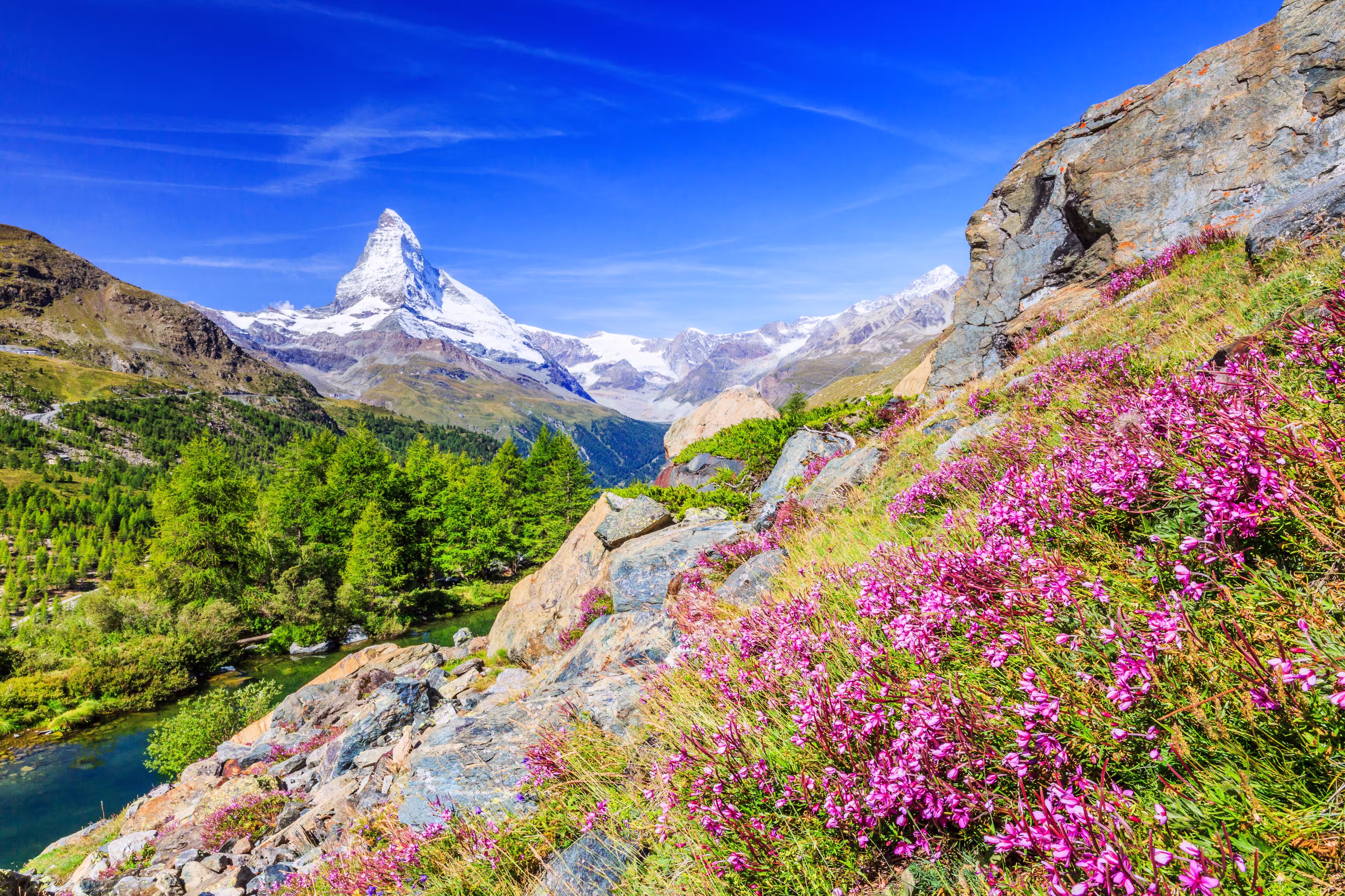 Zermatt, Switzerland. Matterhorn mountain near Grindjisee Lake with flowers in the foreground. Canton of Valais.