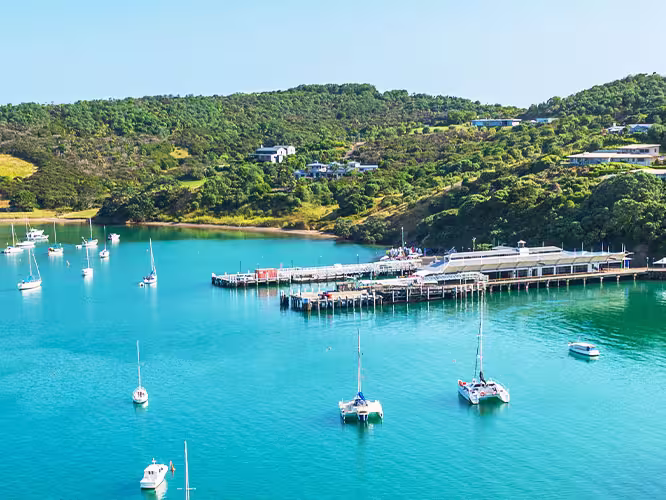 Waiheke Island, North Island, NZ