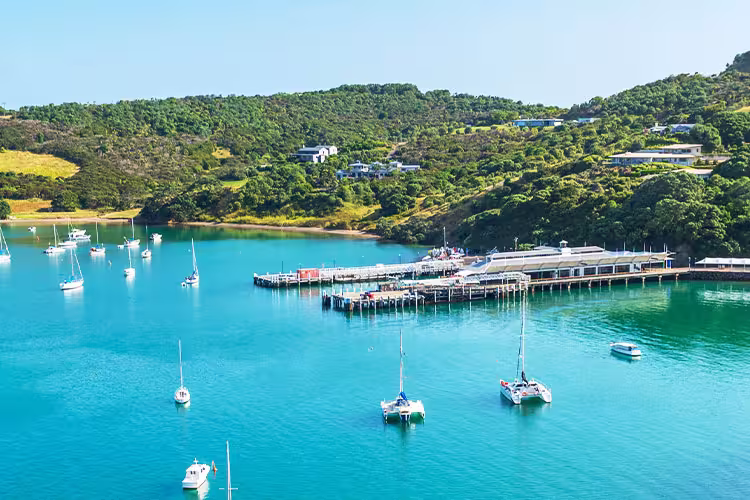 Waiheke Island, North Island, NZ