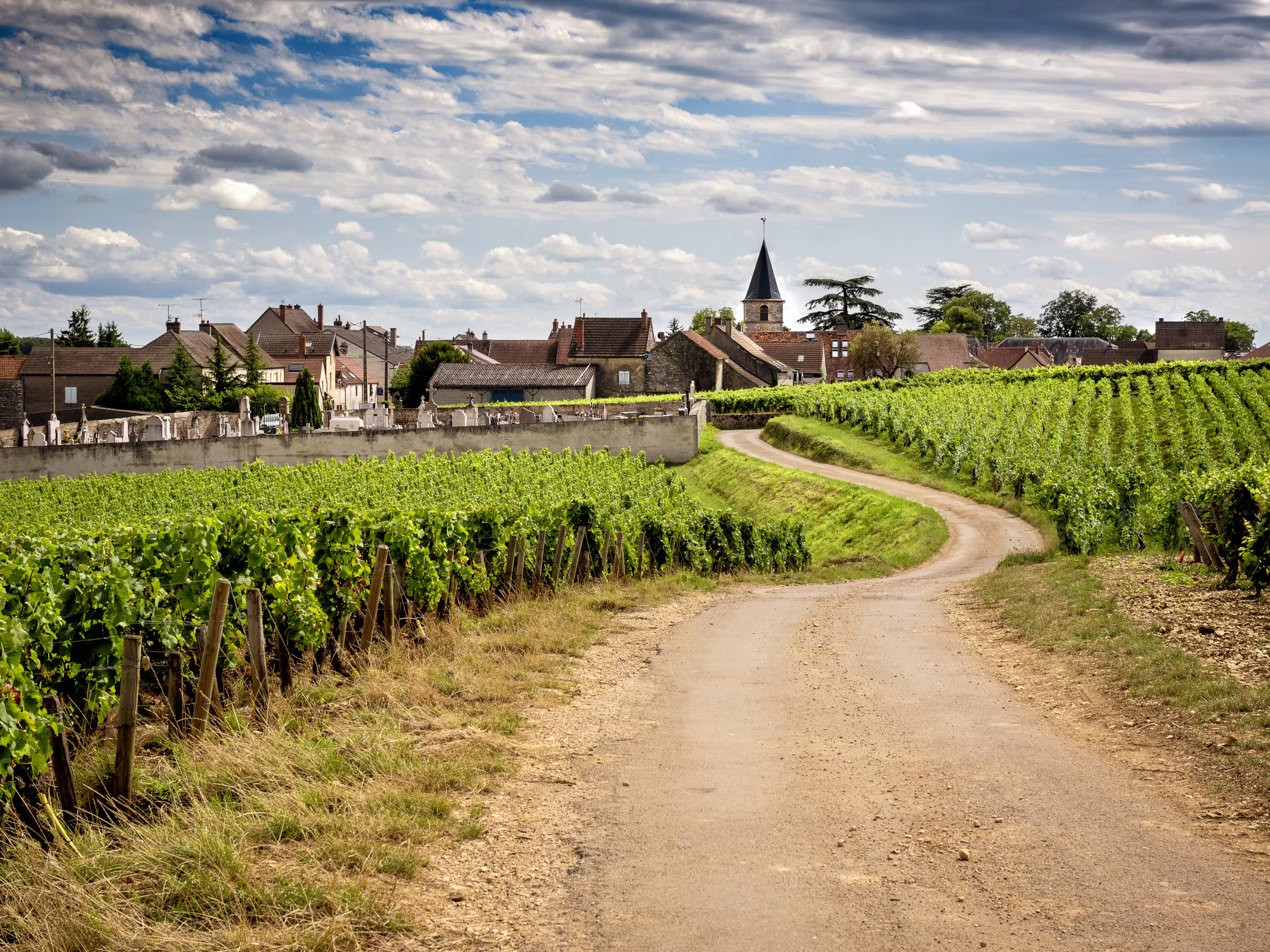 Straße zum Weindorf Vosne Romanneé, Burgund