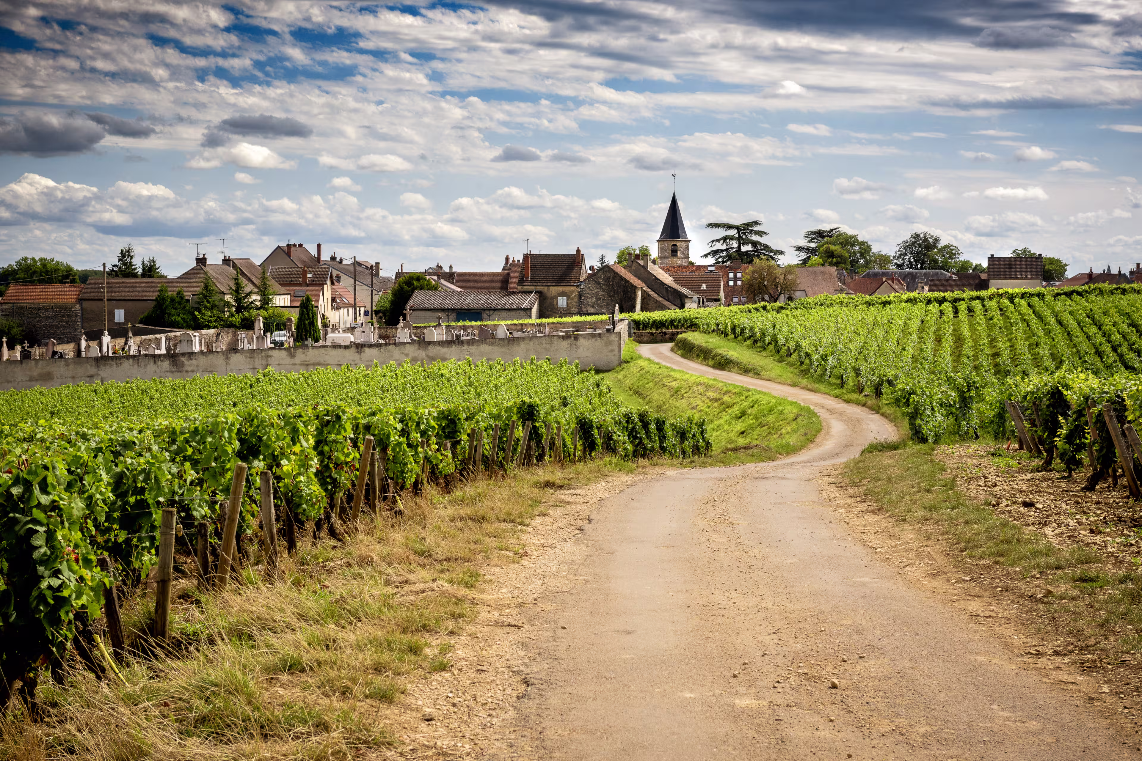 Straße zum Weindorf Vosne Romanneé, Burgund