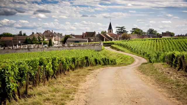 Straße zum Weindorf Vosne Romanneé, Burgund