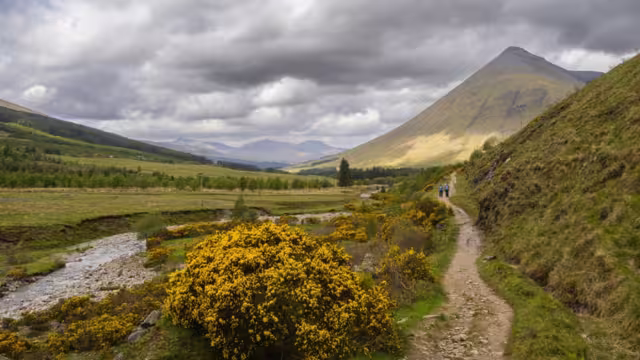 The West Highland Way is a linear long distance footpath in Scotland, with the official status of Long Distance Route. It is 96.0 miles long.