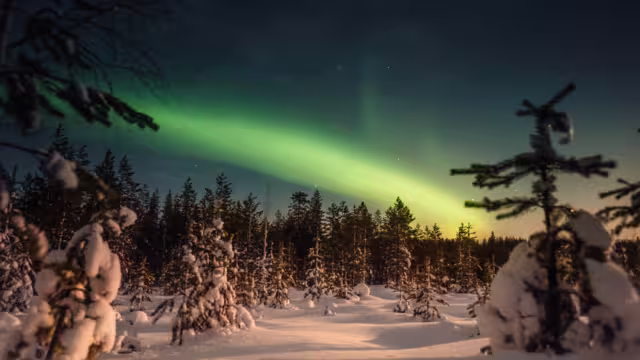 Northern lights over snowy forest outside of Rovaniemi, Lapland