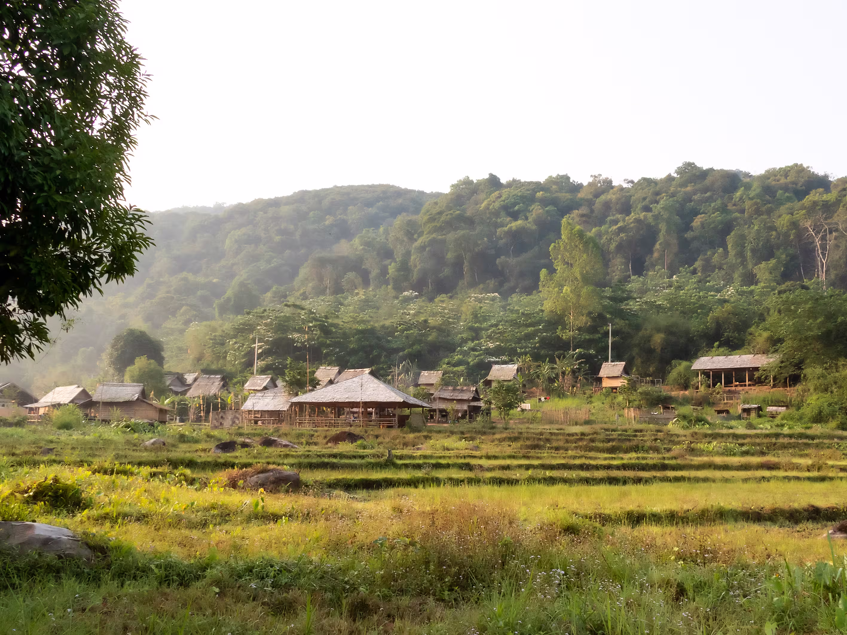 Khmu Village. The Khmu are an ethnic group of Southeast Asia. The majority (88%) live in northern Laos where they constitute the largest minority ethnic group.