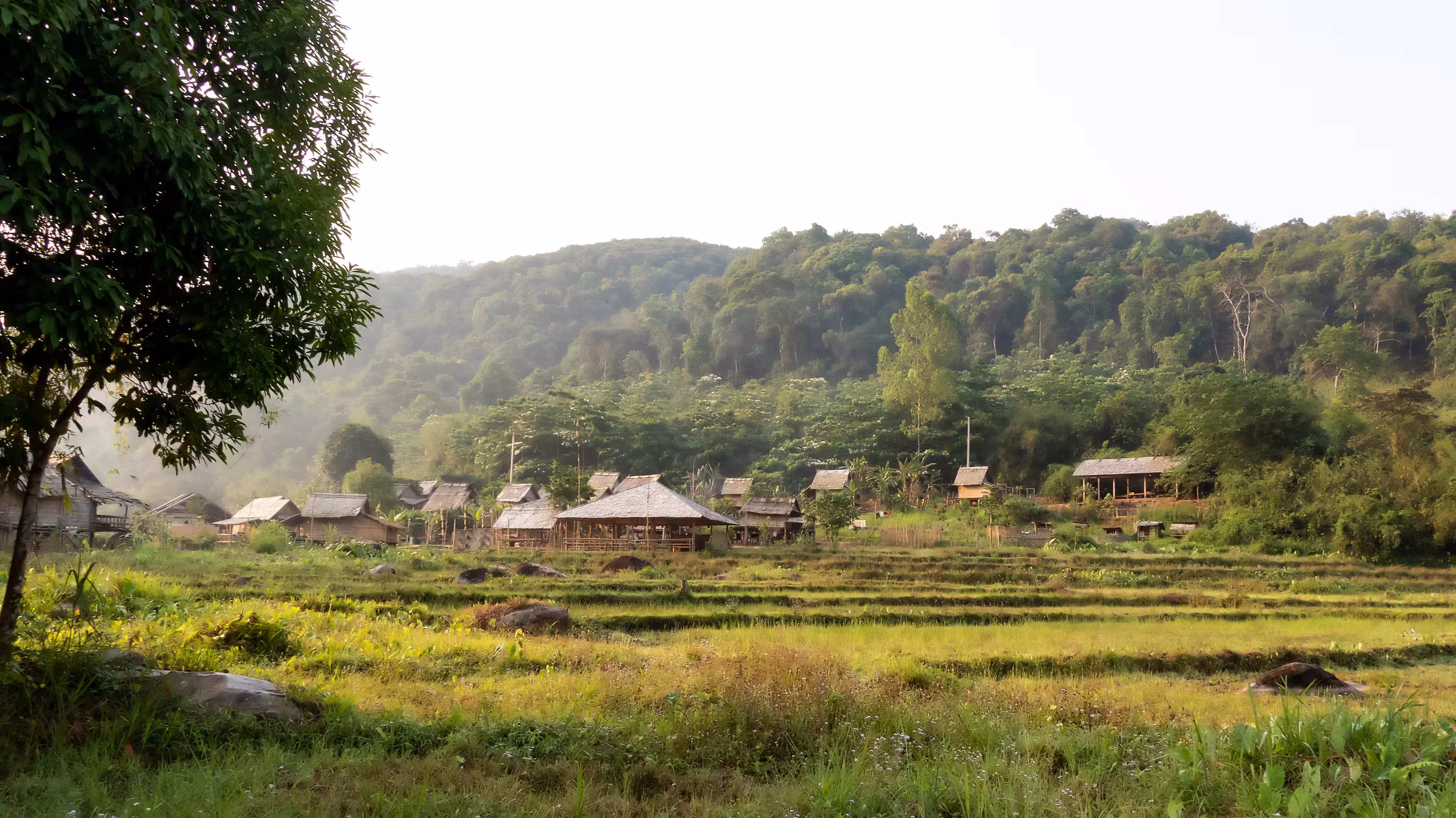 Khmu Village. The Khmu are an ethnic group of Southeast Asia. The majority (88%) live in northern Laos where they constitute the largest minority ethnic group.