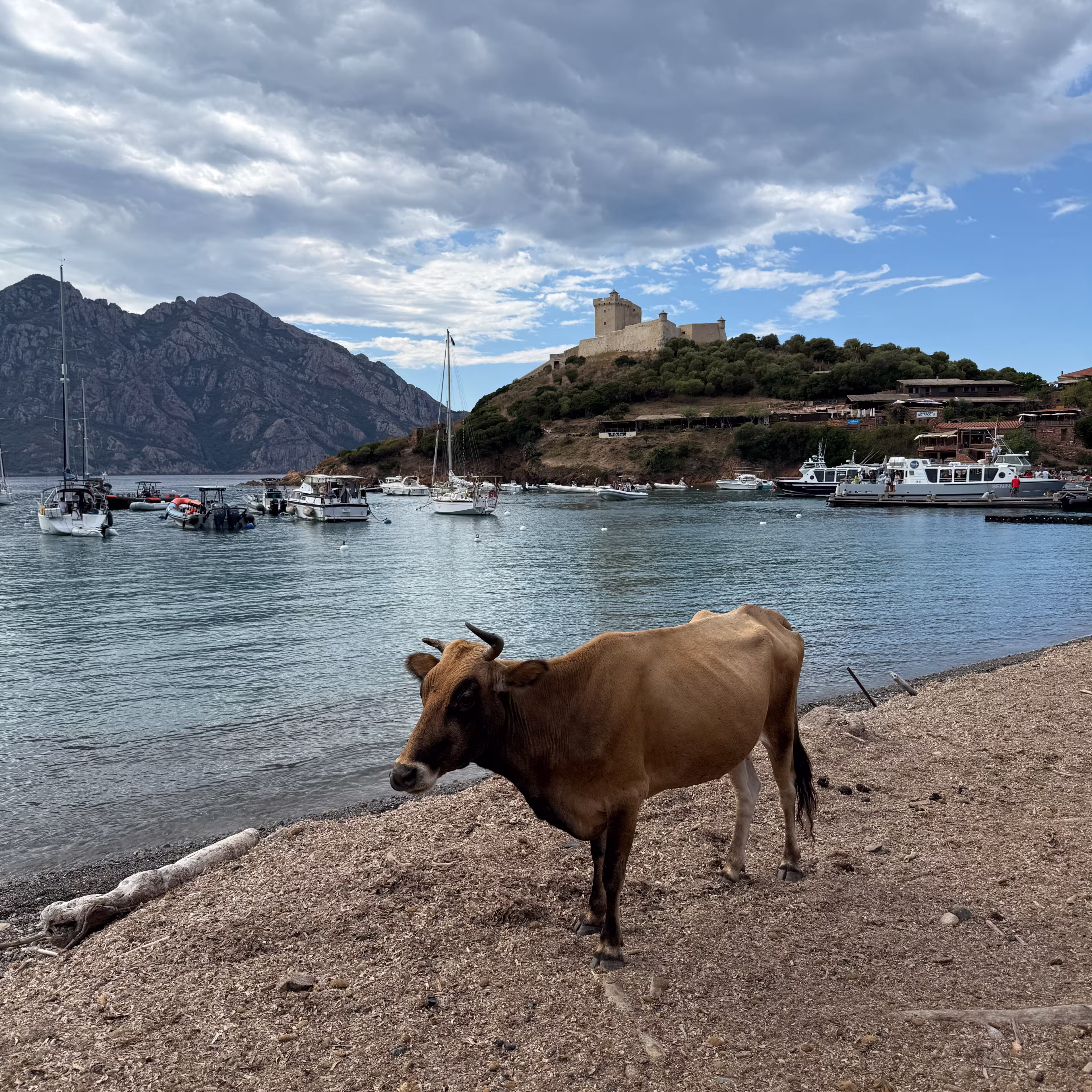 © Gerold Travel impression by Gerold