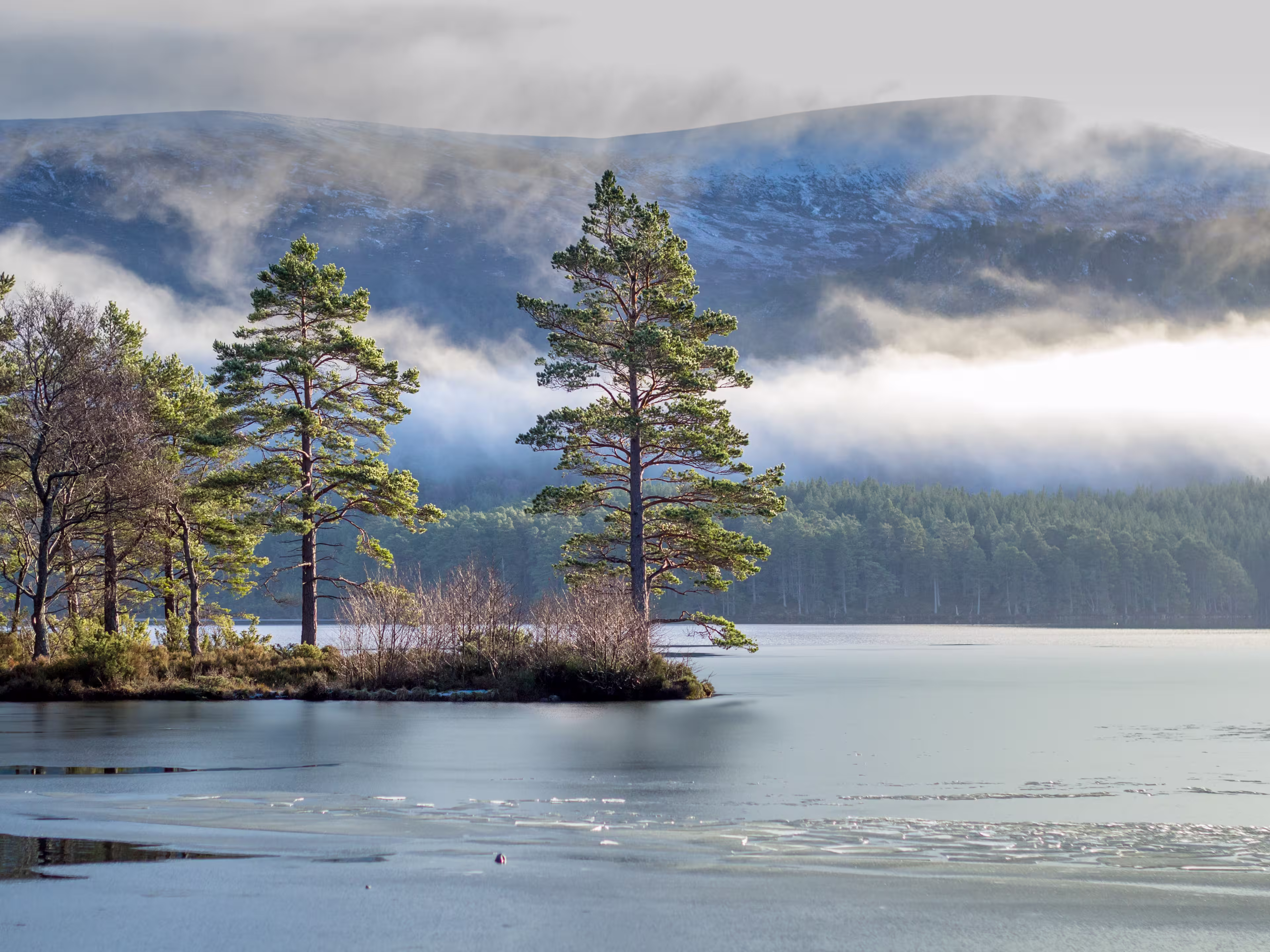 Schottland Loch an Eilein