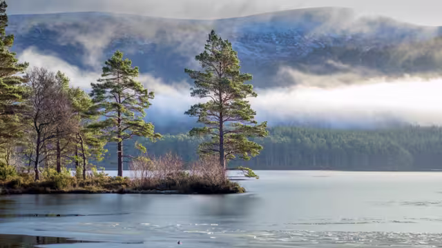 Schottland Loch an Eilein