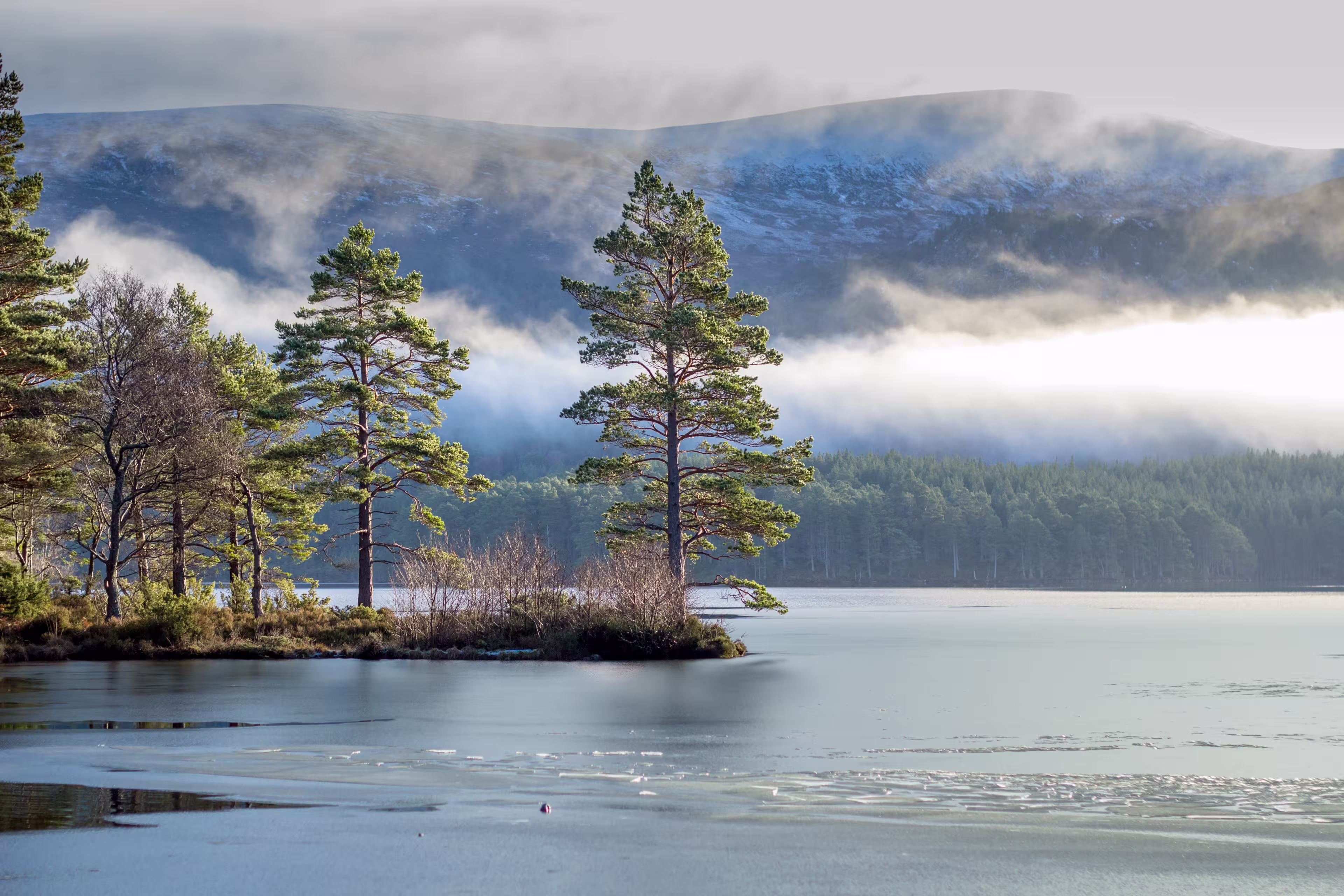 Schottland Loch an Eilein