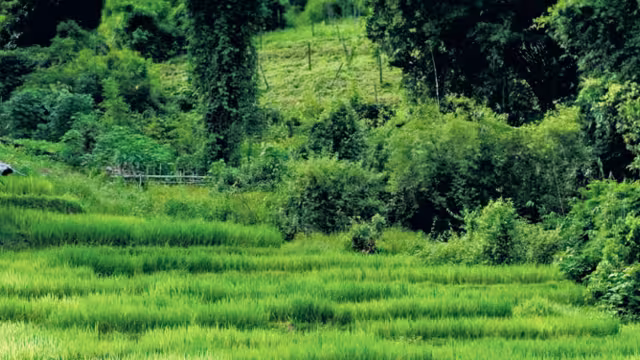 Thailand, green hills