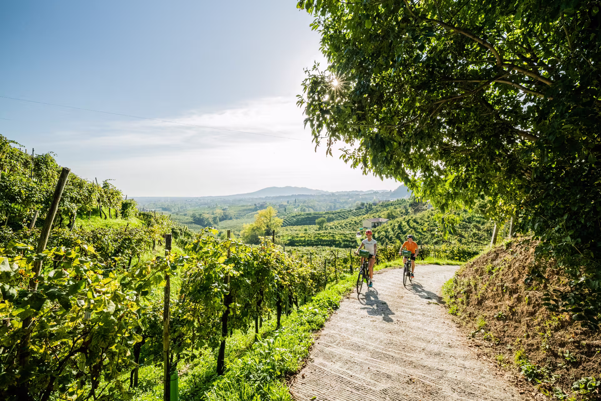 Rundreise Prosecco Kurzurlaub