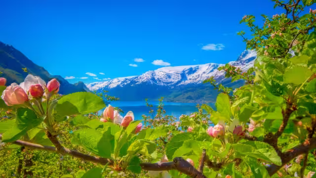 Hardangerfjord in Norwegen
