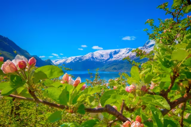 Hardangerfjord in Norwegen