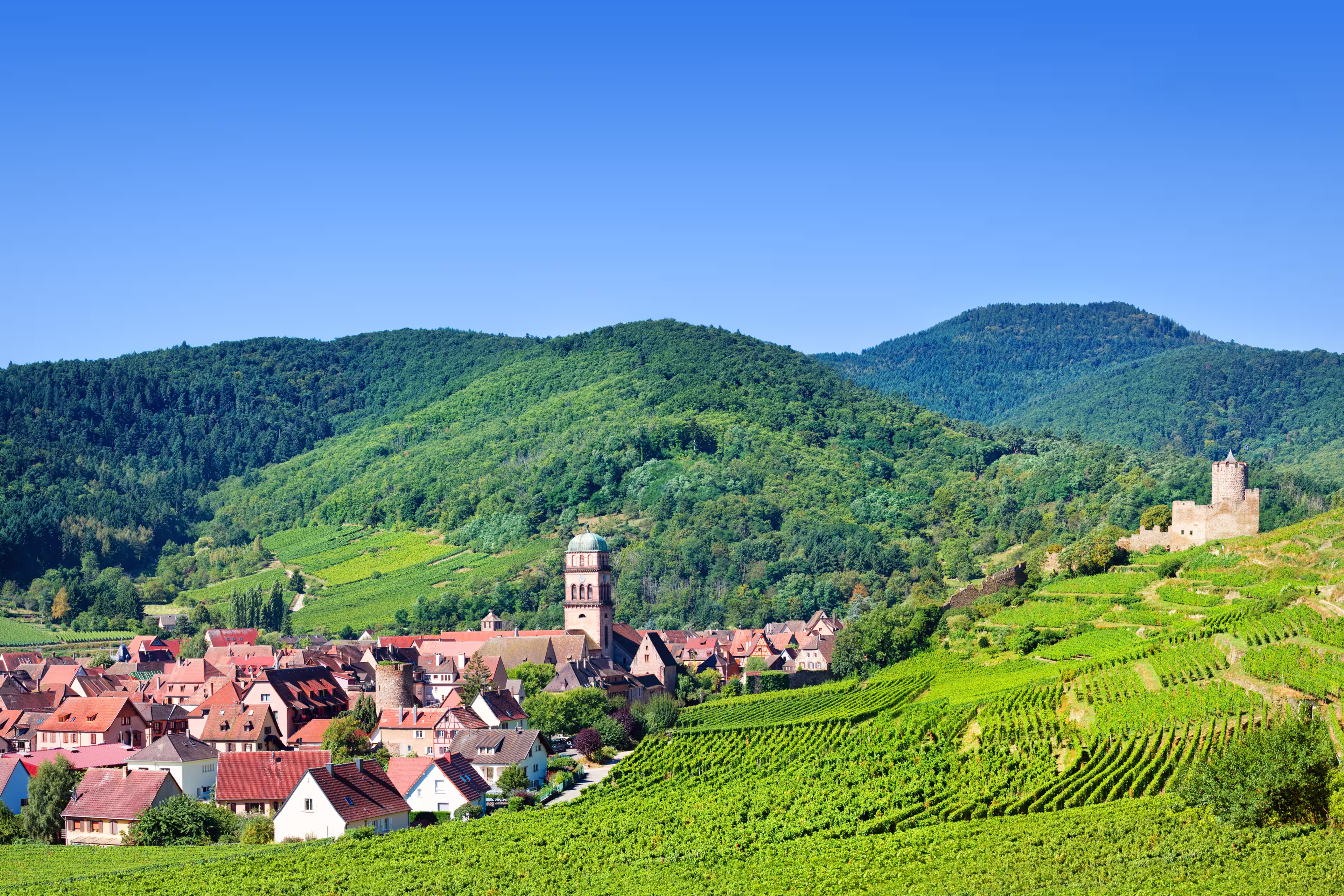 Aerial view to Kaysersberg village and Vosges mountains in the backgroung