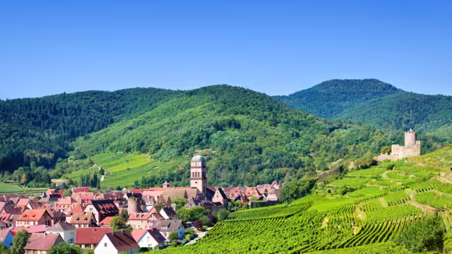 Aerial view to Kaysersberg village and Vosges mountains in the backgroung
