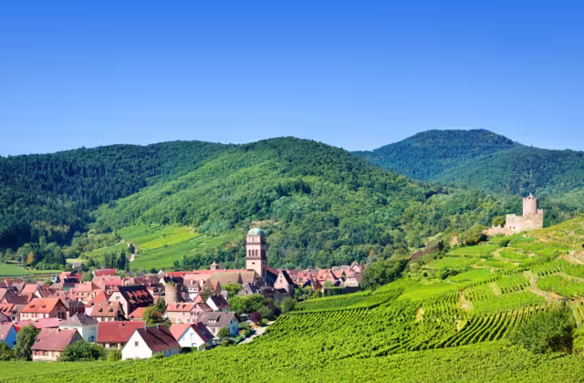 Aerial view to Kaysersberg village and Vosges mountains in the backgroung