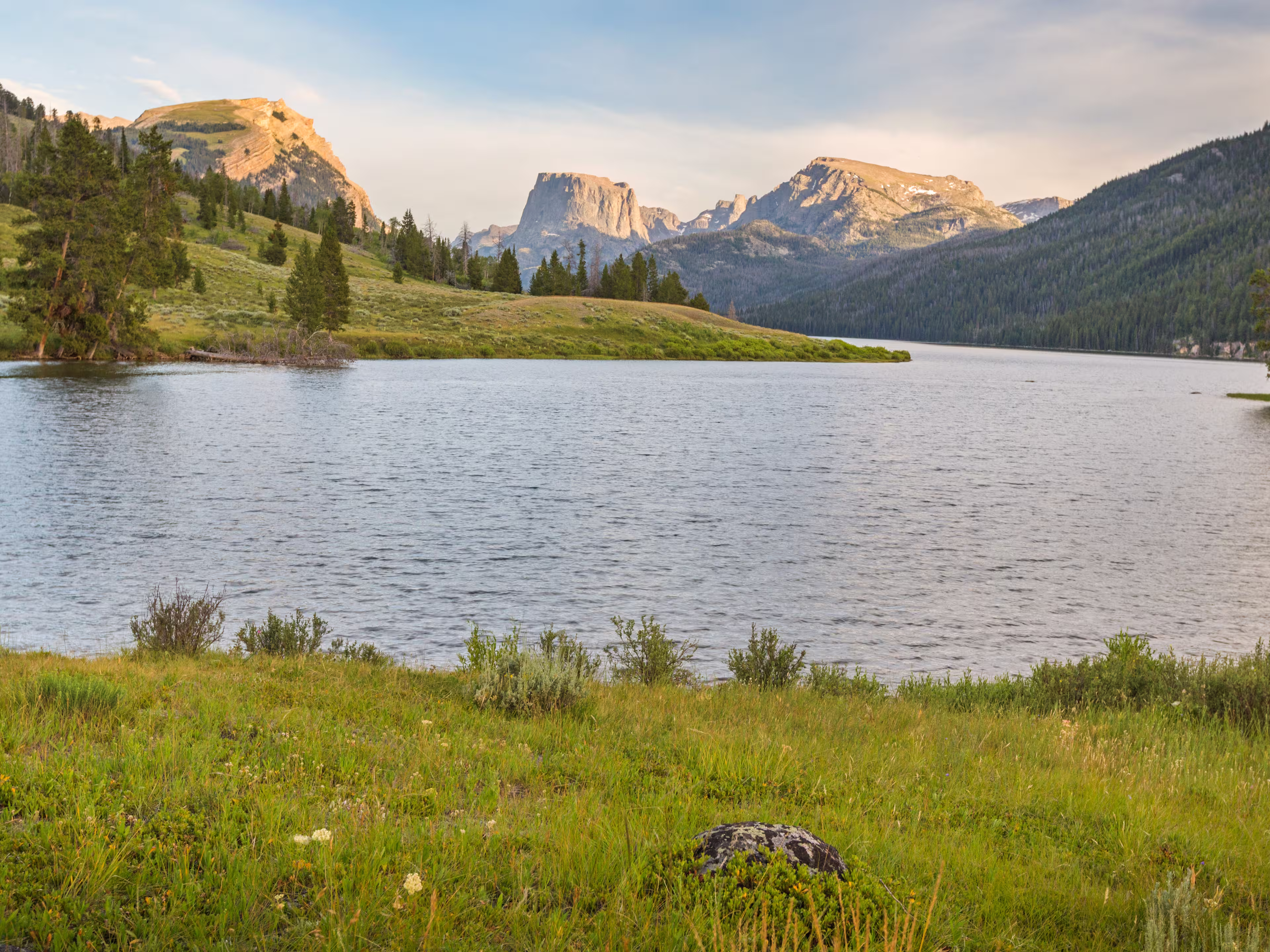 Wind River Wildnis