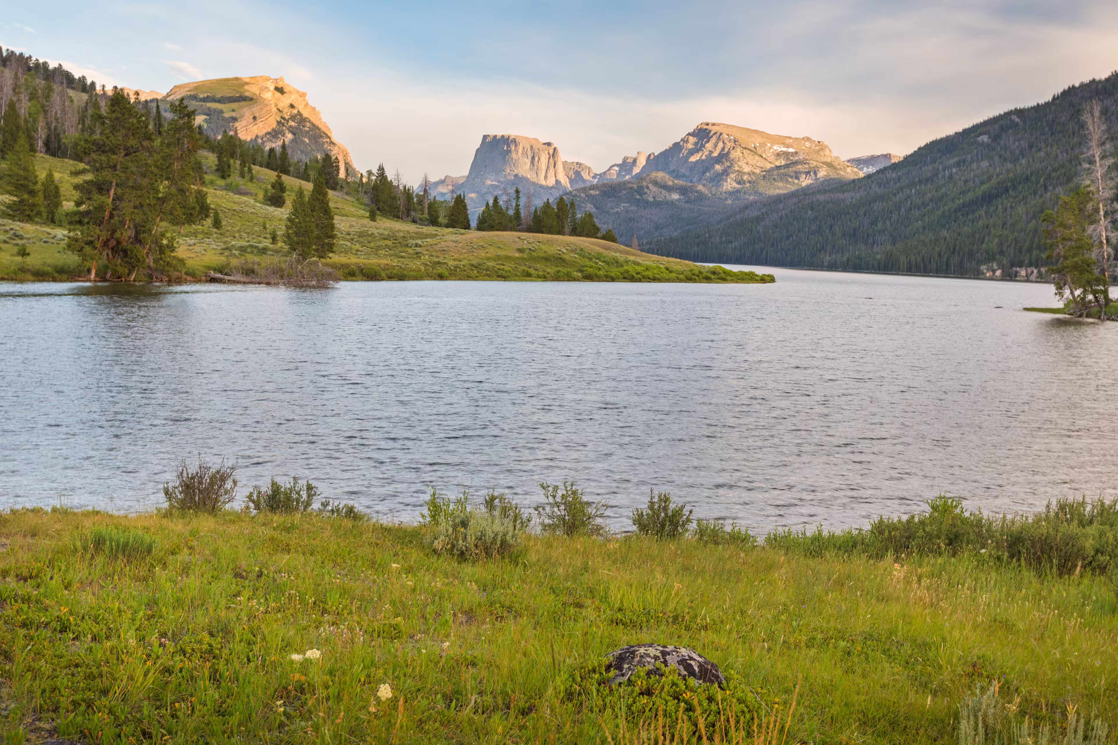 Wind River Wildnis