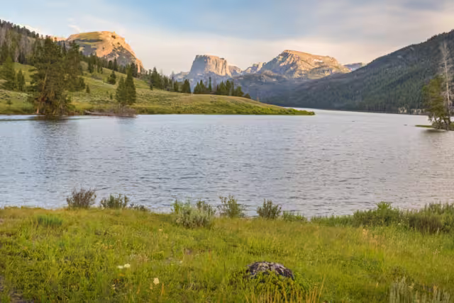 Wind River Wildnis