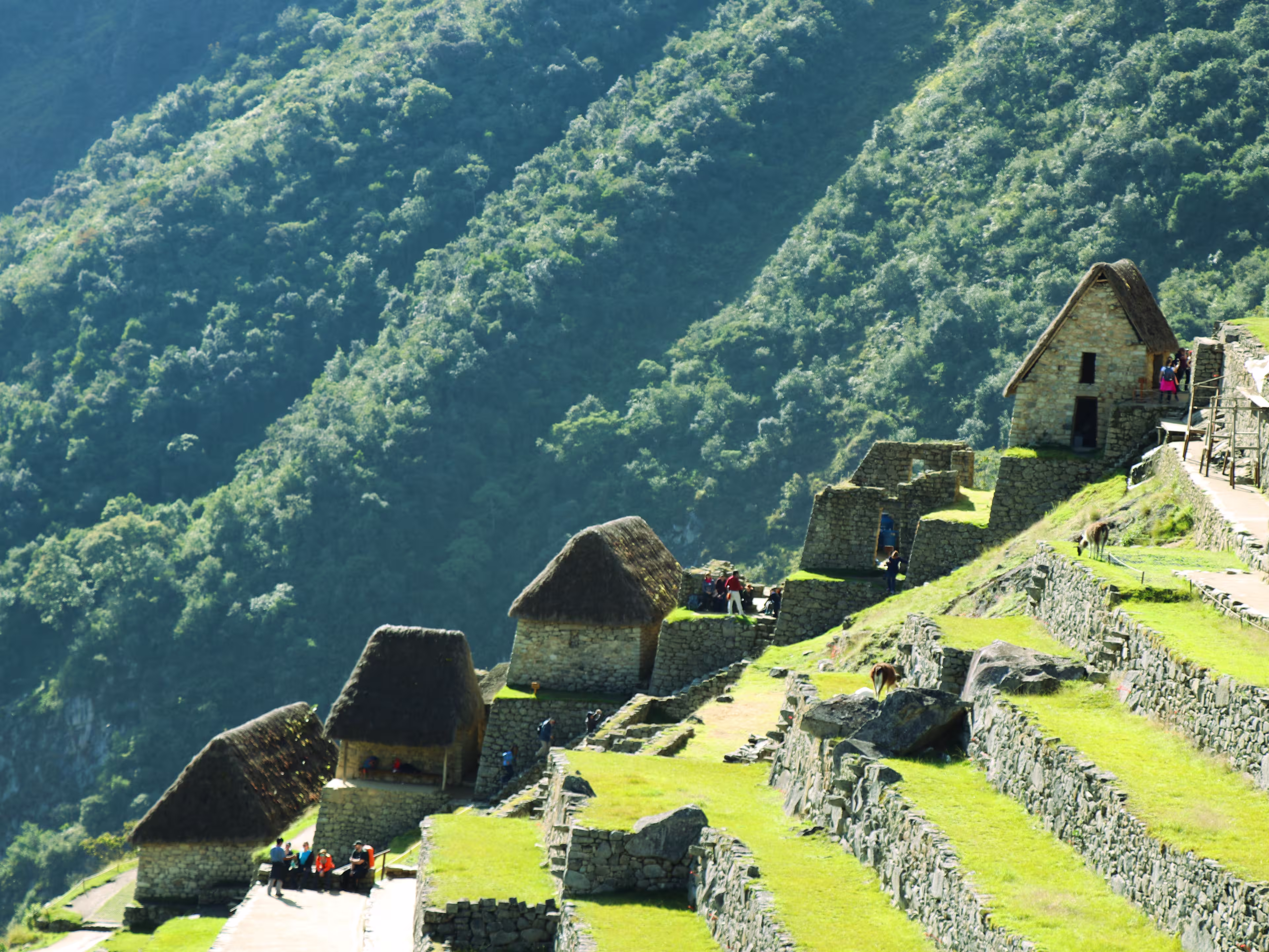 Machu Picchu