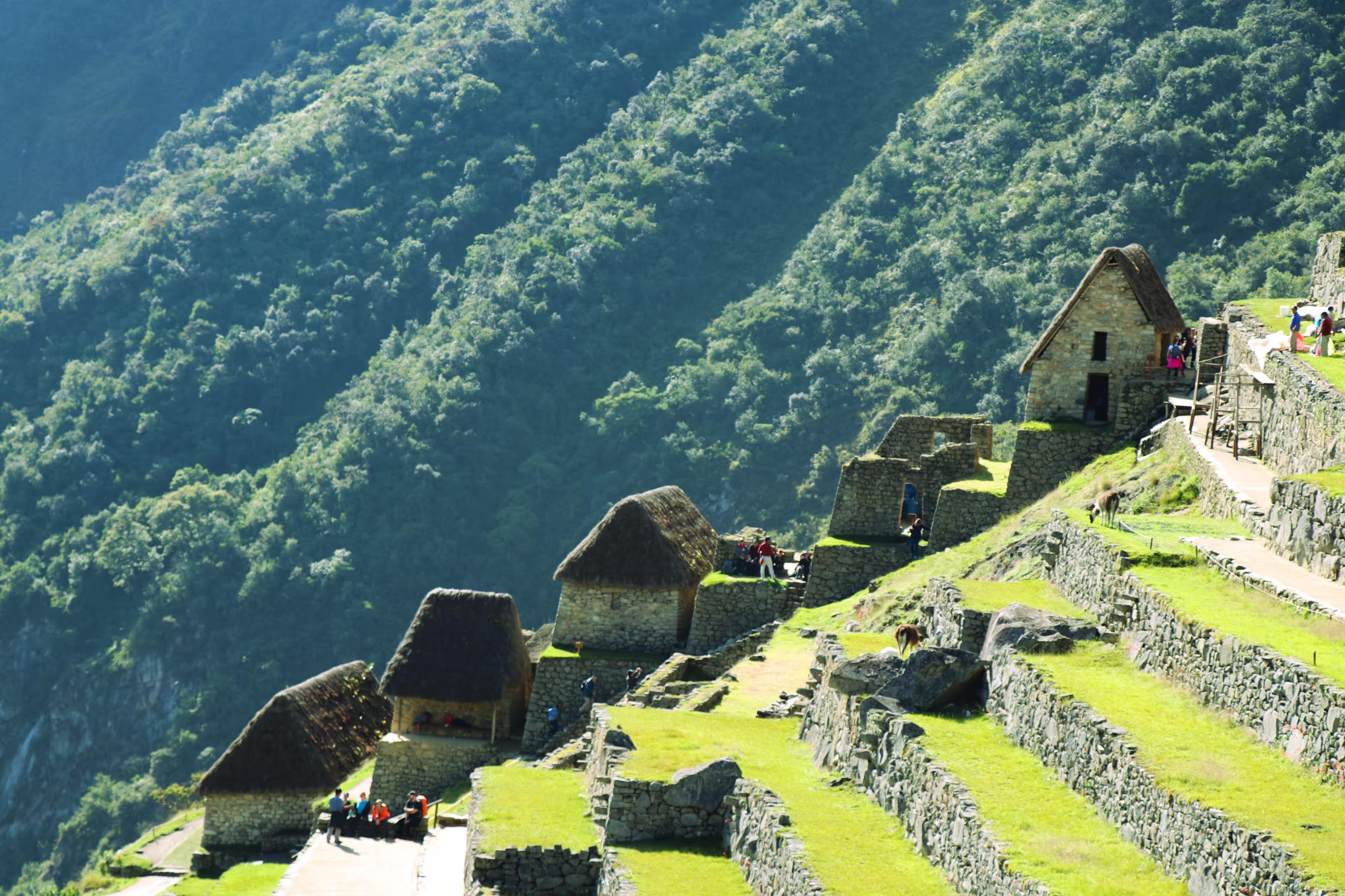 Machu Picchu