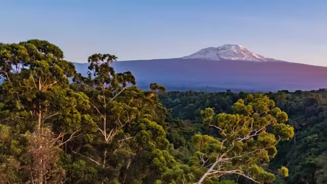 Ausblick auf den Kilimanjaro