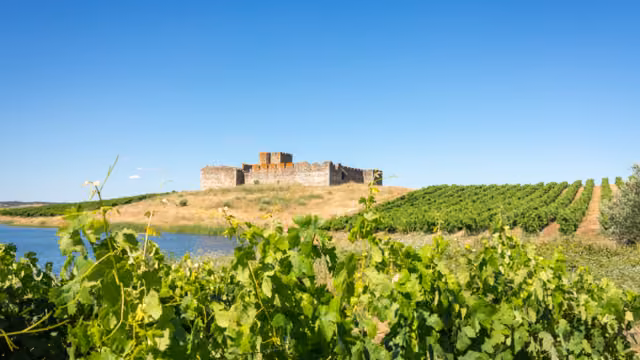 Castle of Valongo, Alentejo, Portugal