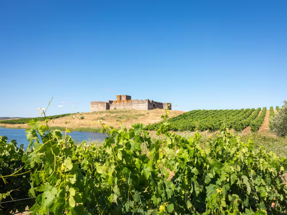 Castle of Valongo, Alentejo, Portugal