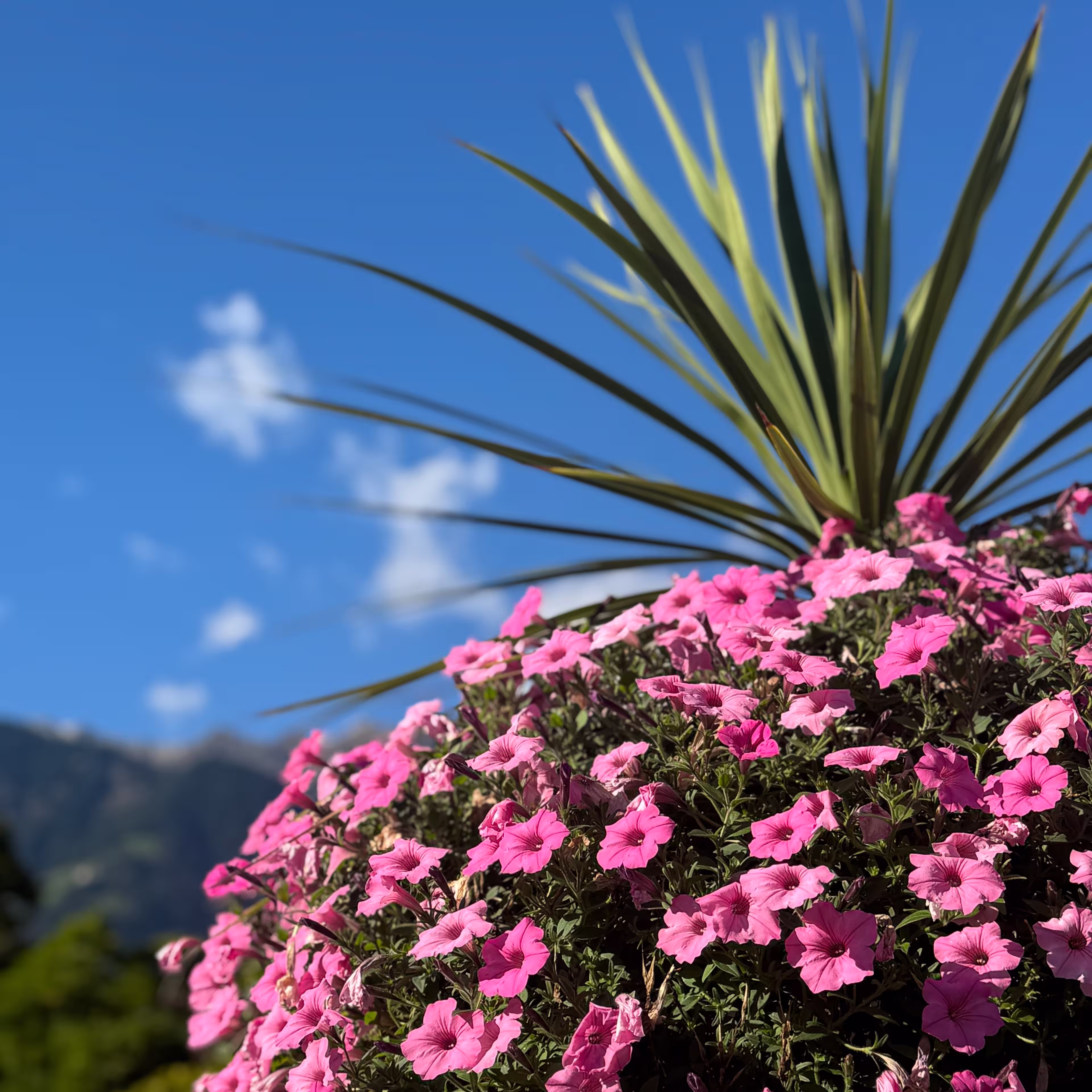 © Torsten Travel impression by Torsten