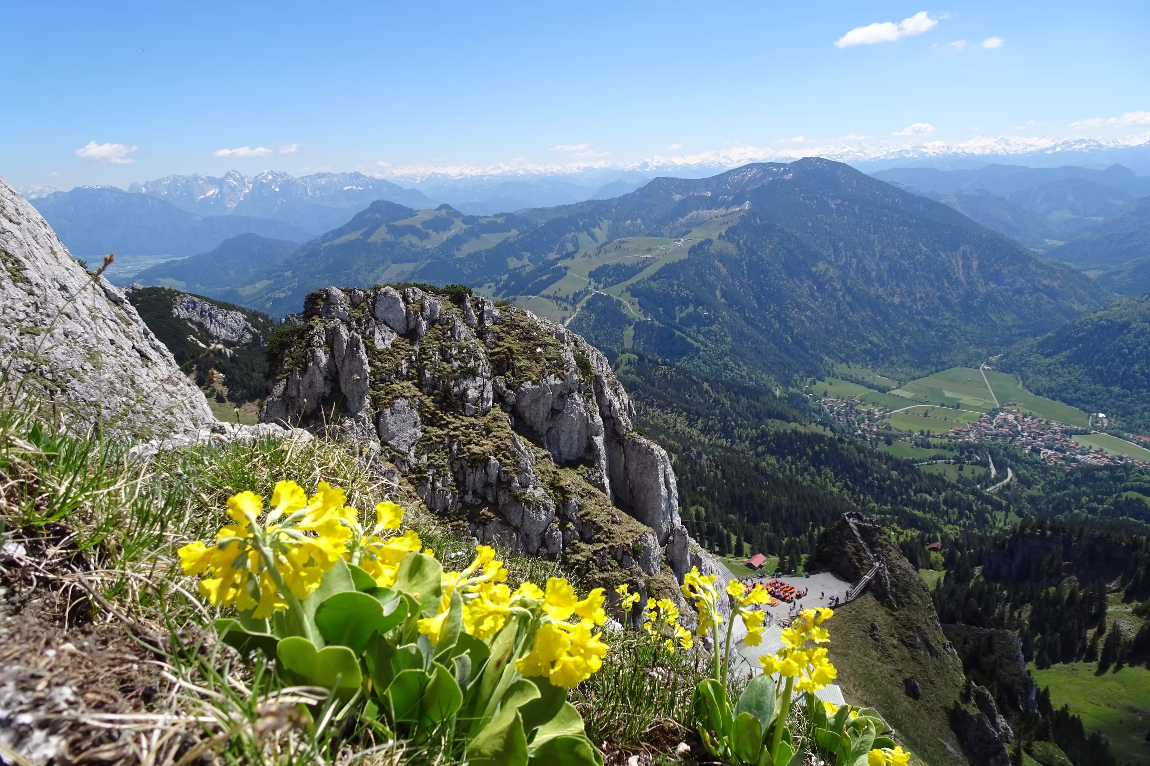Berge & Almblumen