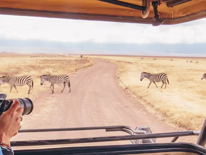 Tanzania Serengeti
