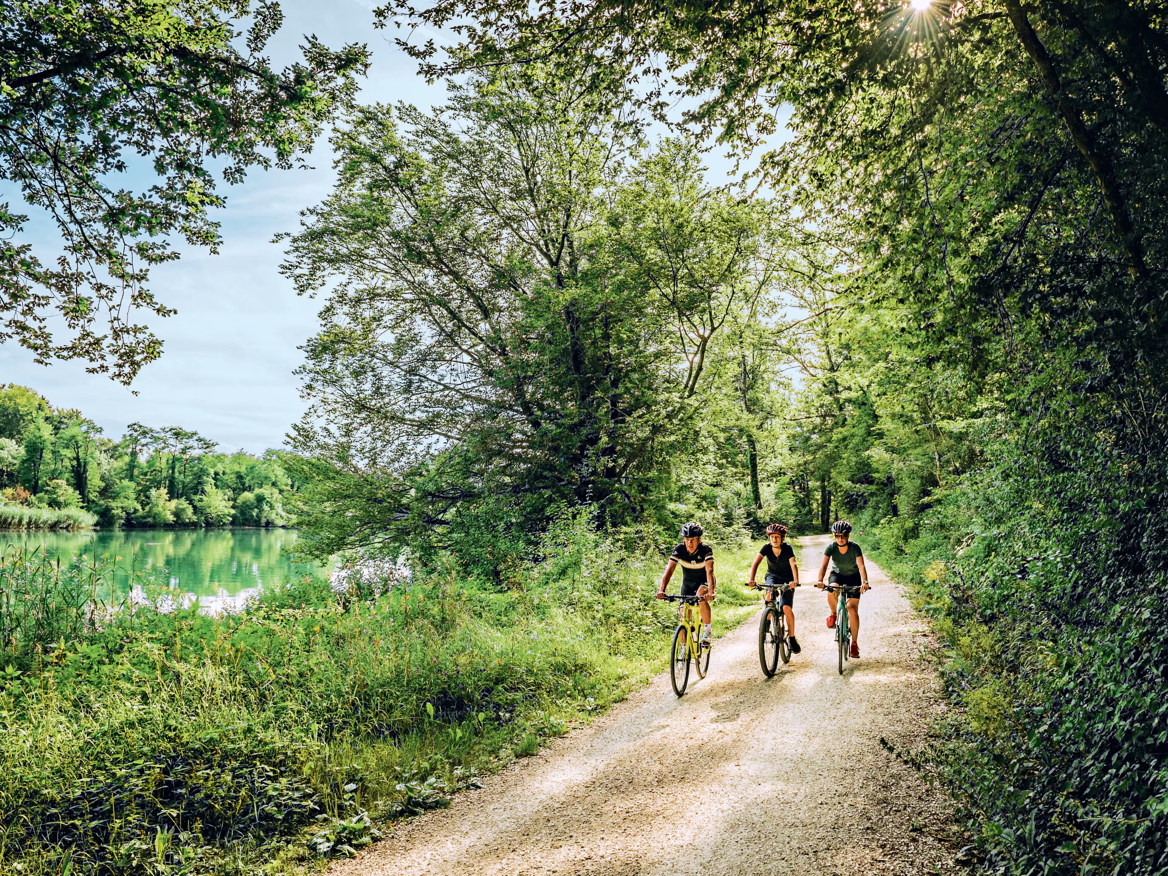 Schweiz. ganz natuerlich.Bikergruppe unterwegs auf der Veloland Route entlang der Aare bei Brugg. Copyright by: Switzerland Tourism - By-Line: swiss-image.ch/Andre Meier
Schweiz. ganz natuerlich.
Bikergruppe unterwegs auf der Veloland Route entlang der Aare bei Brugg. 

Copyright by: Switzerland Tourism - By-Line: swiss-image.ch/Andre Meier