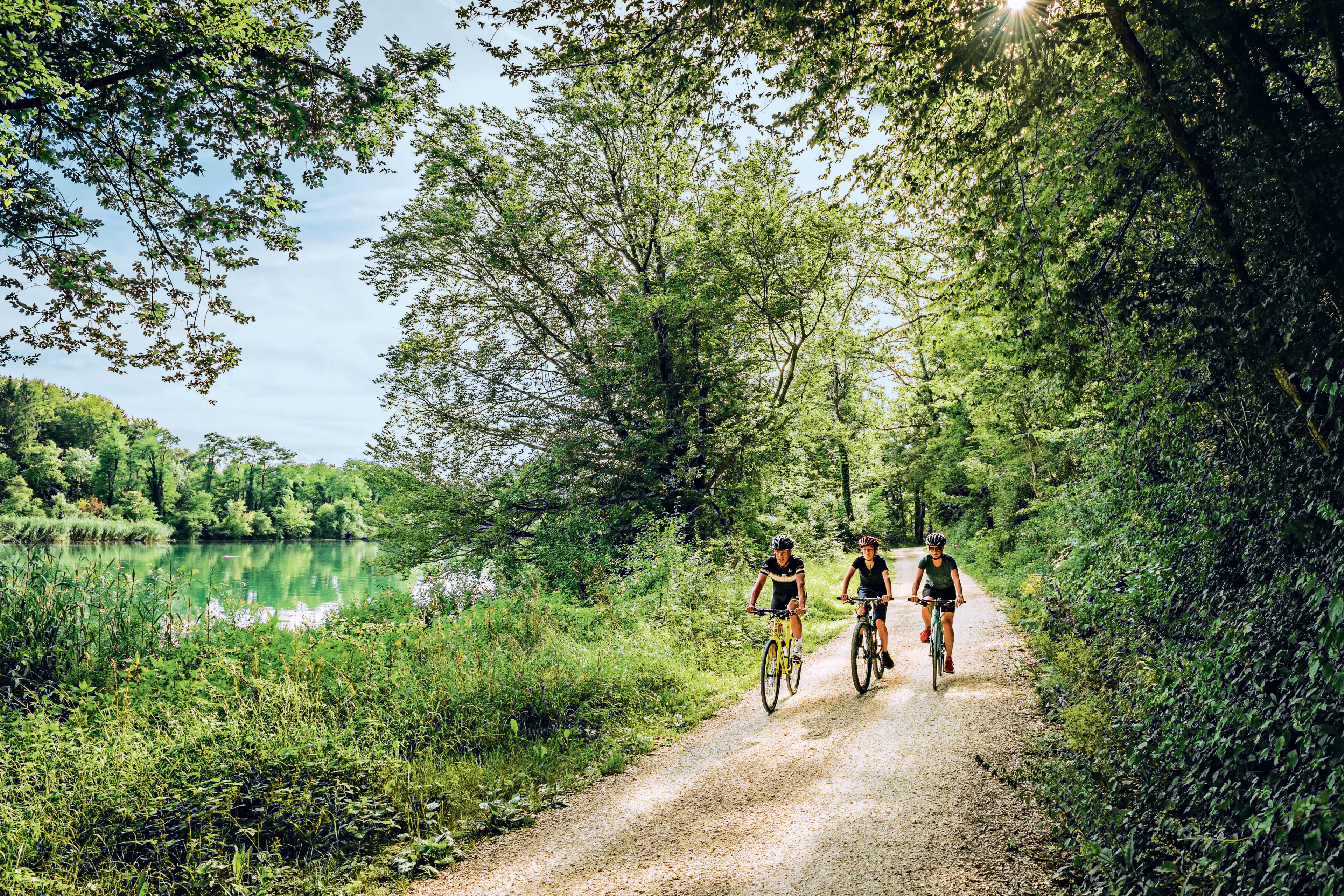 Schweiz. ganz natuerlich.
Bikergruppe unterwegs auf der Veloland Route entlang der Aare bei Brugg.
Copyright by: Switzerland Tourism - By-Line: swiss-image.ch/Andre Meier
Schweiz. ganz natuerlich.
Bikergruppe unterwegs auf der Veloland Route entlang der Aare bei Brugg.
Copyright by: Switzerland Tourism - By-Line: swiss-image.ch/Andre Meier