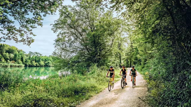 Schweiz. ganz natuerlich.Bikergruppe unterwegs auf der Veloland Route entlang der Aare bei Brugg. Copyright by: Switzerland Tourism - By-Line: swiss-image.ch/Andre Meier
Schweiz. ganz natuerlich.
Bikergruppe unterwegs auf der Veloland Route entlang der Aare bei Brugg. 

Copyright by: Switzerland Tourism - By-Line: swiss-image.ch/Andre Meier