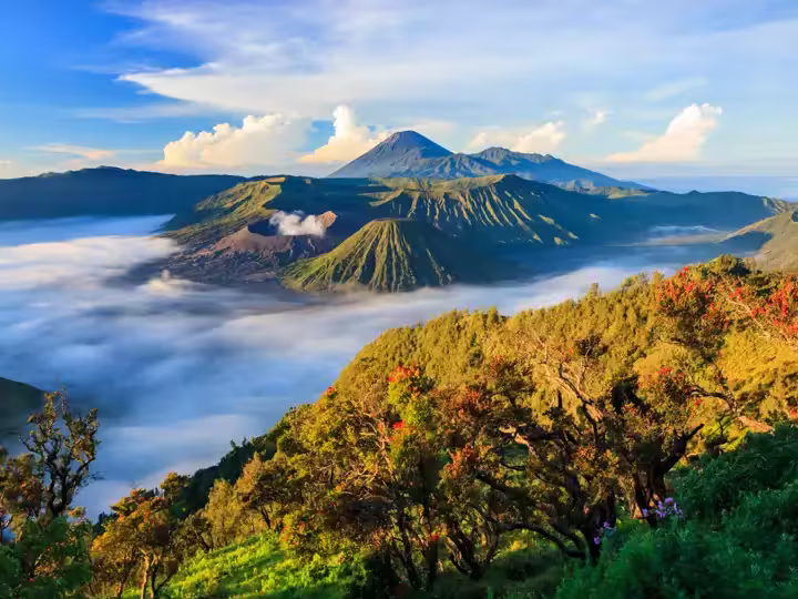 Bromo vocalno at sunrise, East Java, , Indonesia