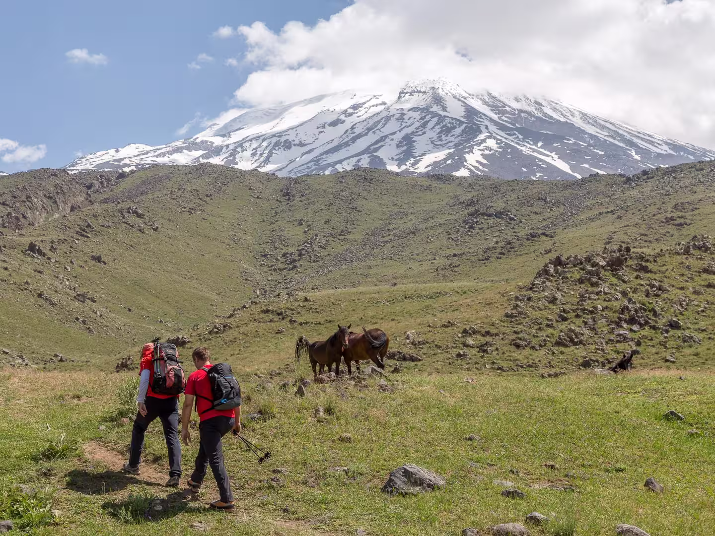 Trekking Ararat